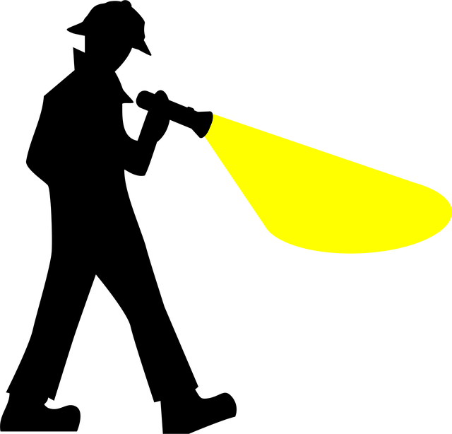 investigation