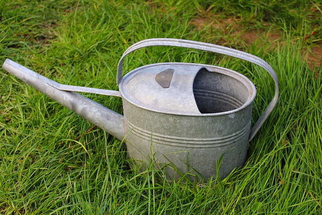 irrigation-640x480-13164278.jpeg