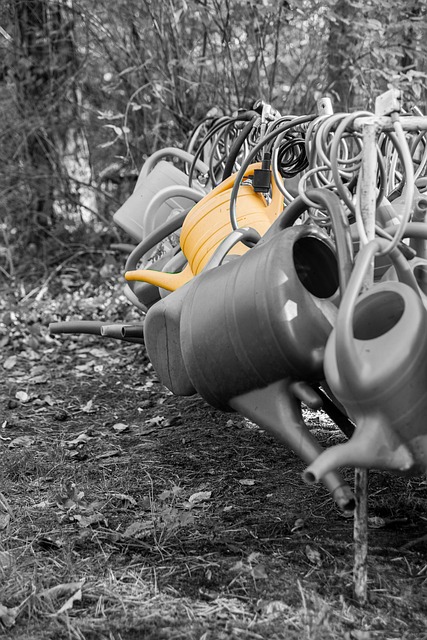 irrigation-640x480-43432572.jpeg