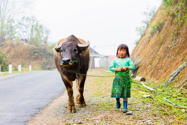 kids-640x480-24266877.jpeg