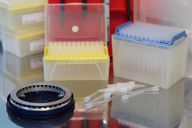 lab