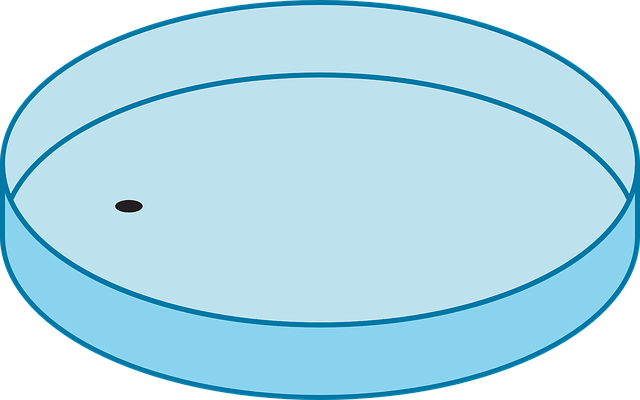 lab
