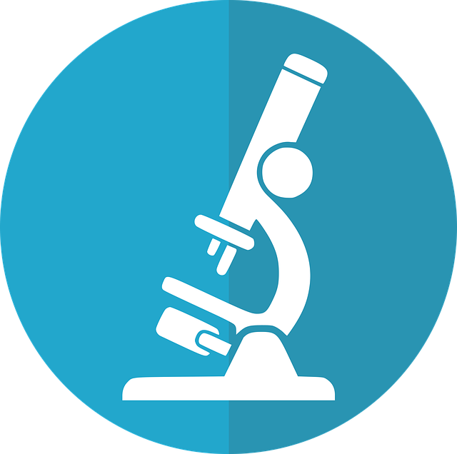 lab