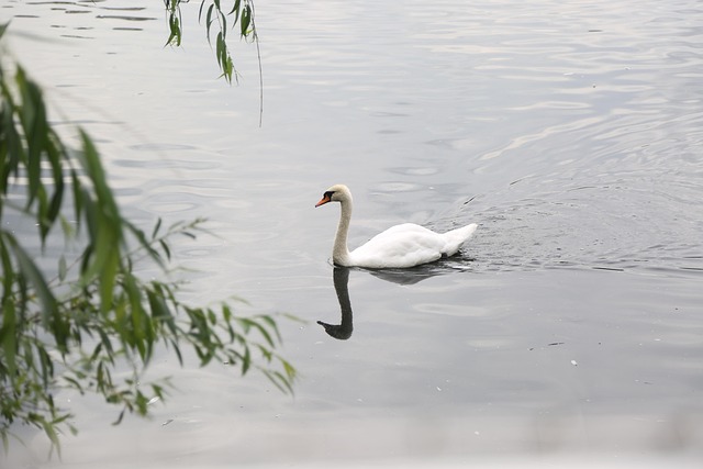 lake-640x480-74020153.jpeg