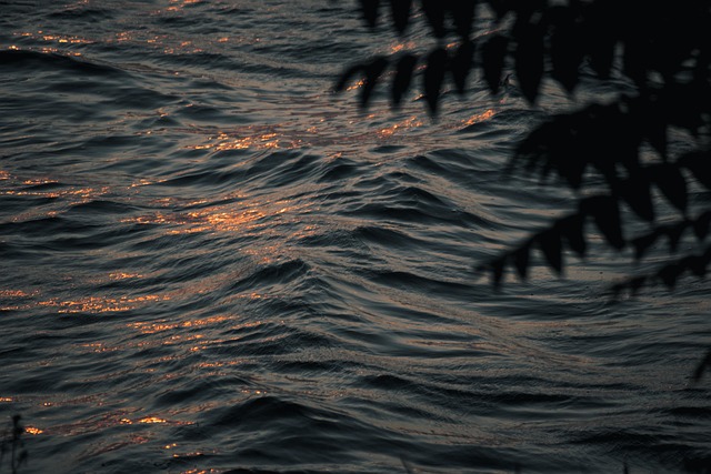 Lakes