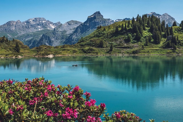 lakes