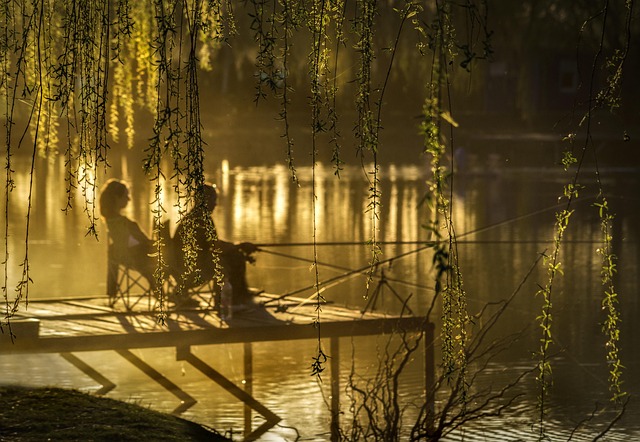 Lakes