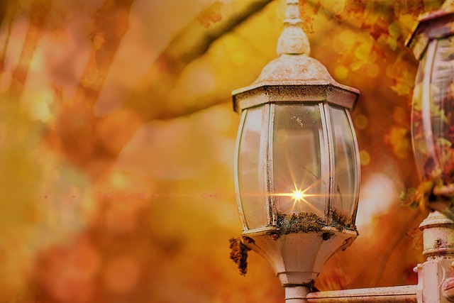 lamp