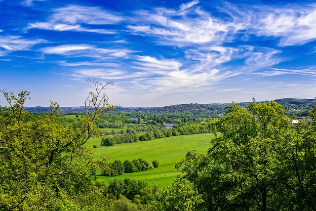 landscape-640x480-24445962.jpeg