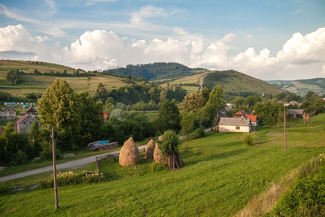 landscape-640x480-2848394.jpeg