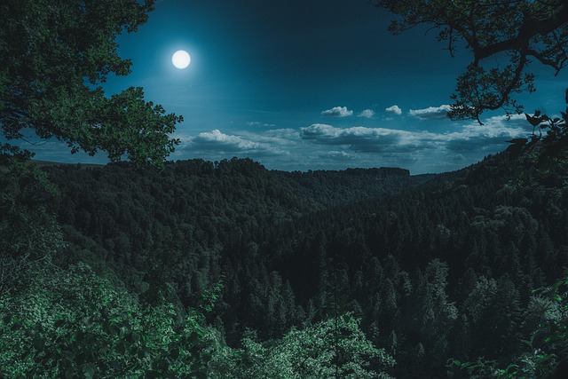 landscape-640x480-30352798.jpeg