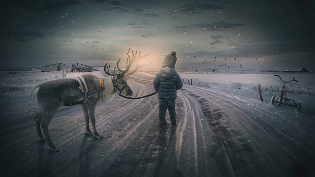landscape-640x480-35299888.jpeg
