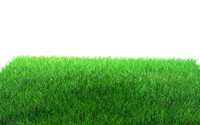 lawn-care-640x480-91488056.png