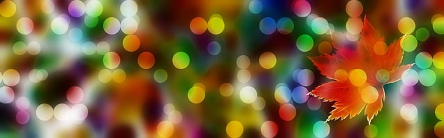 lights