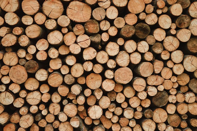 logging