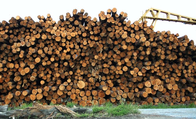 logging