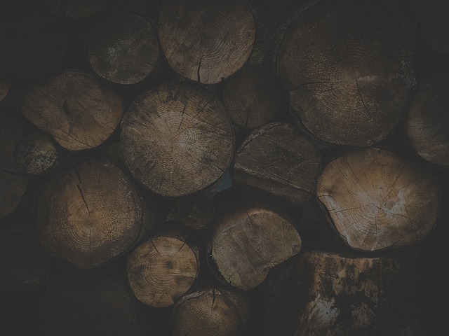 logging