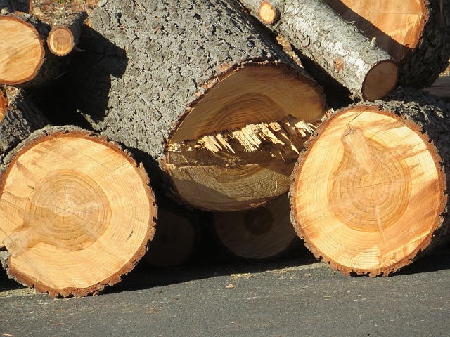 logging
