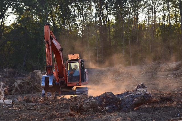 logging
