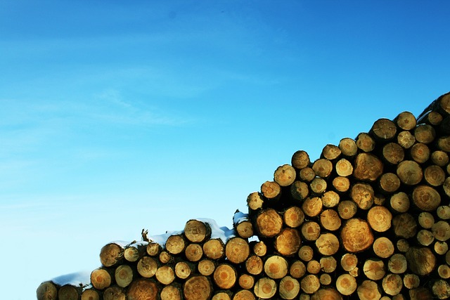 logging