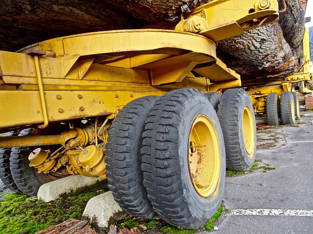 logging