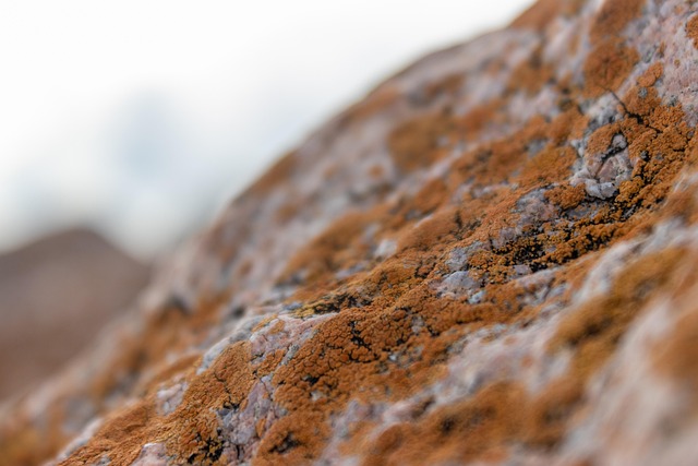 mineral