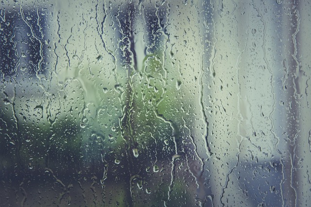 moisture-640x480-15288839.jpeg
