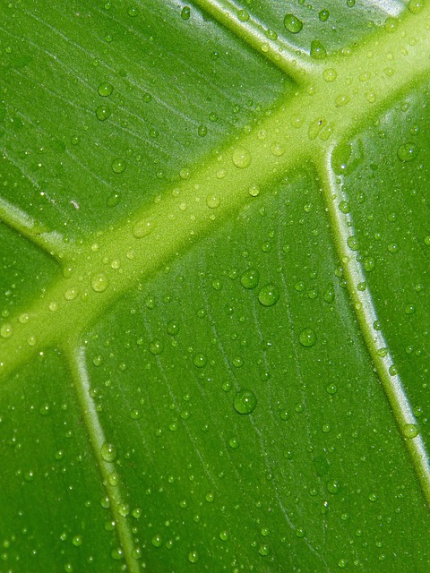 moisture