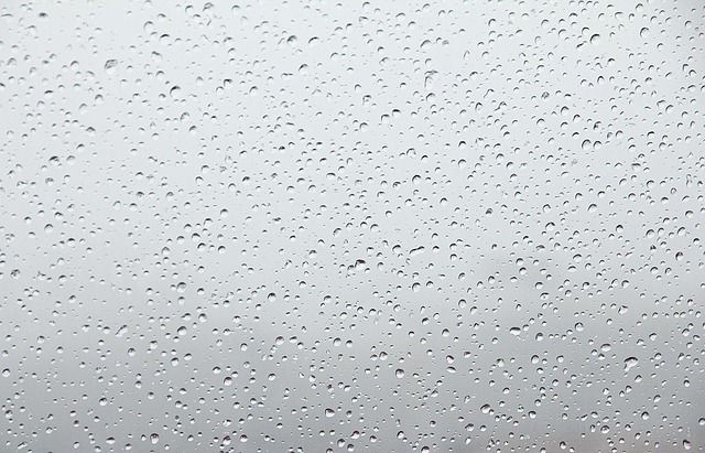 moisture