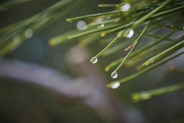 moisture-640x480-57685571.jpeg