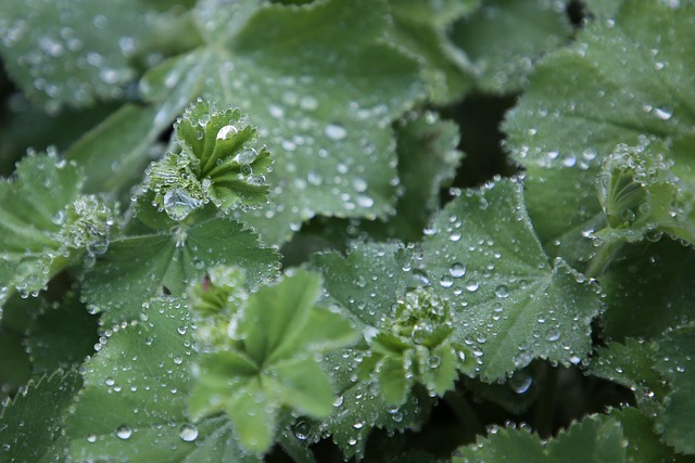 moisture-640x480-74619763.jpeg