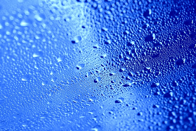 moisture