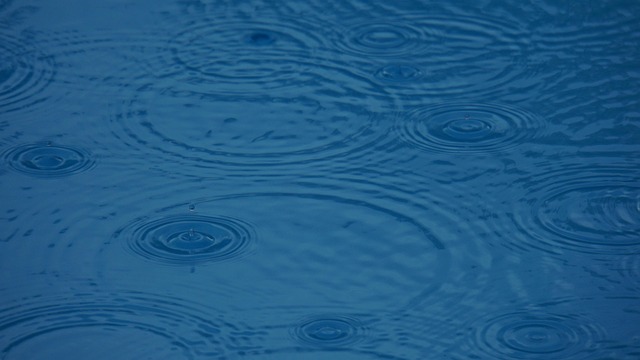 moisture