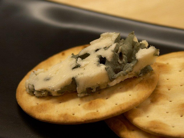 mold