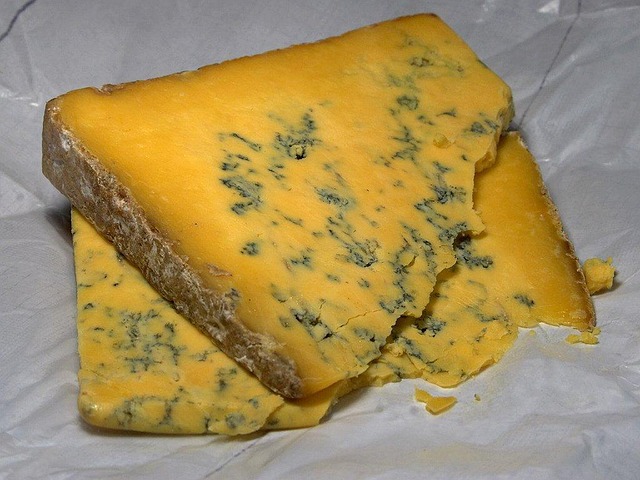 mold
