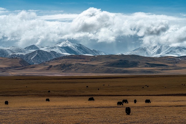 mountains