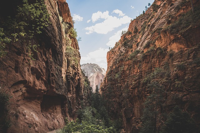 mountains