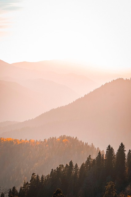 mountains