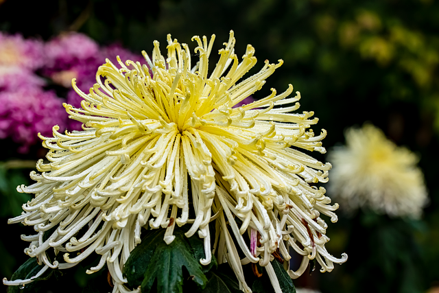 natural-640x480-34637440.png