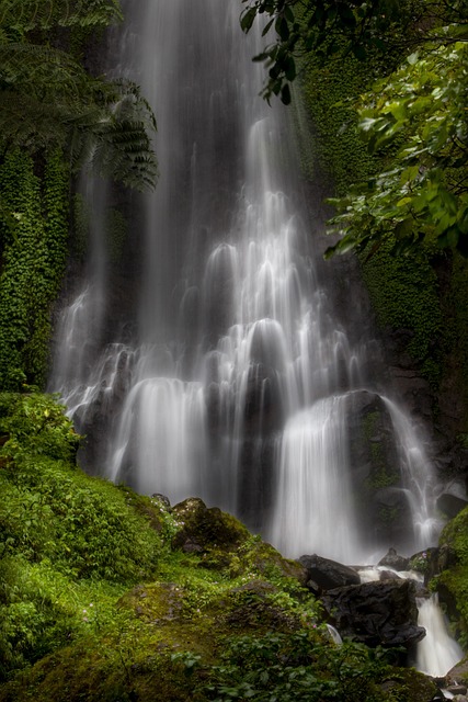 nature
