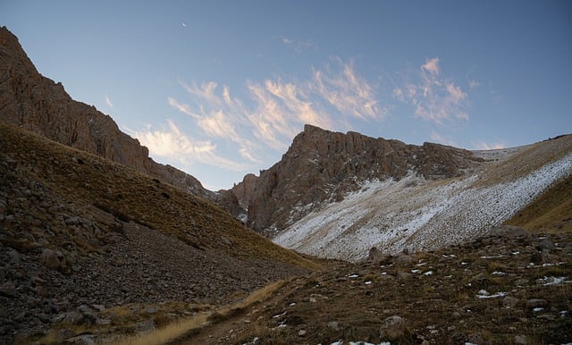 nature-640x480-27845625.jpeg