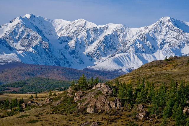 nature-640x480-30330395.jpeg