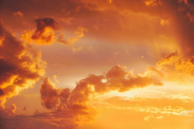 nature-640x480-30775386.jpeg