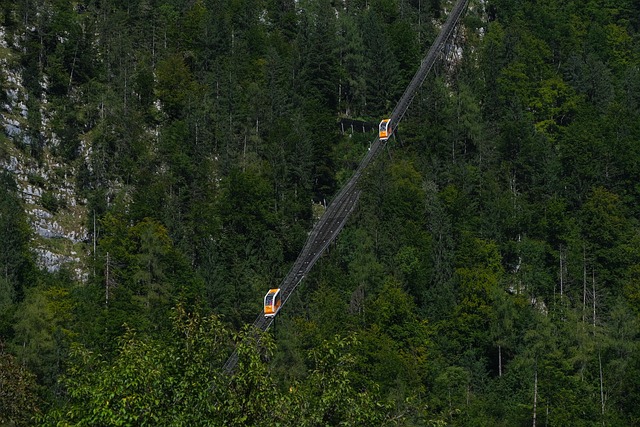 nature-640x480-40935600.jpeg