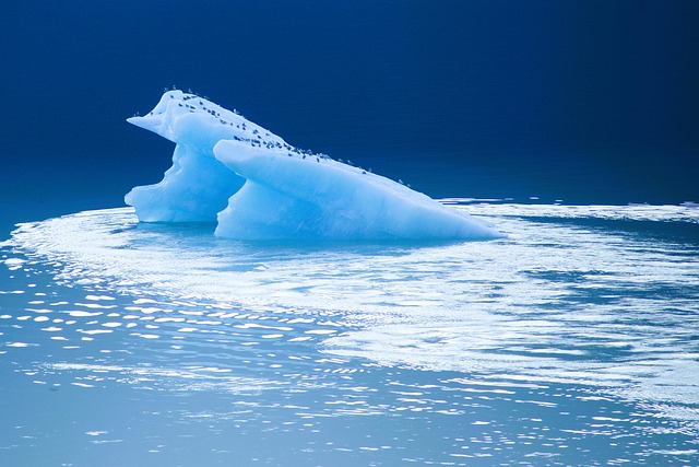 nature-640x480-64005525.jpeg