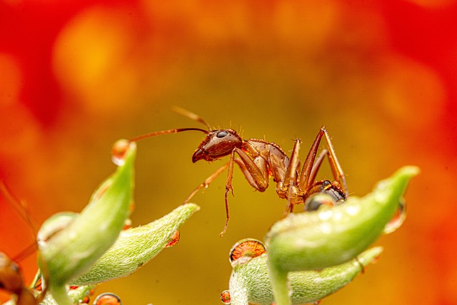 nature-640x480-80776663.jpeg