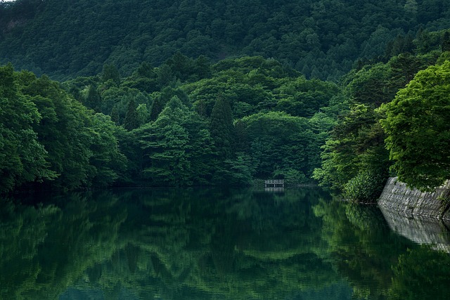 nature