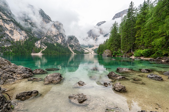 nature-640x480-98788384.jpeg