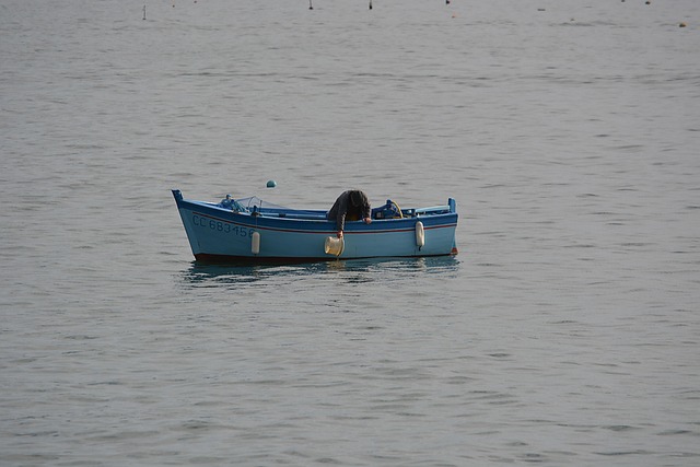 navigate