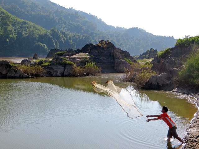 net-640x480-1329027.jpeg